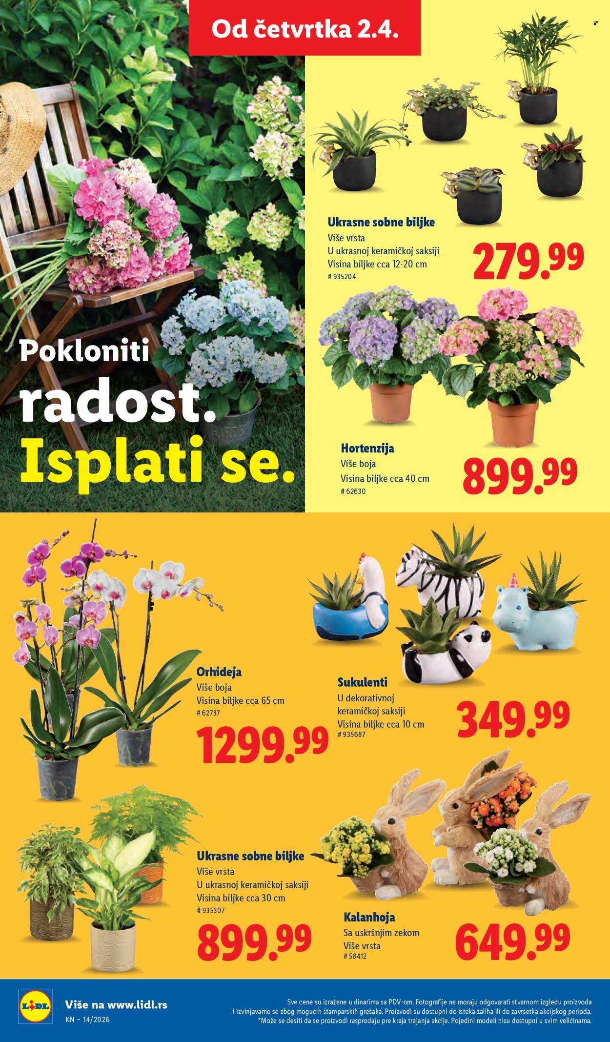 lidl - Lidl katalog - 02.04.-08.04.2026 - page: 62