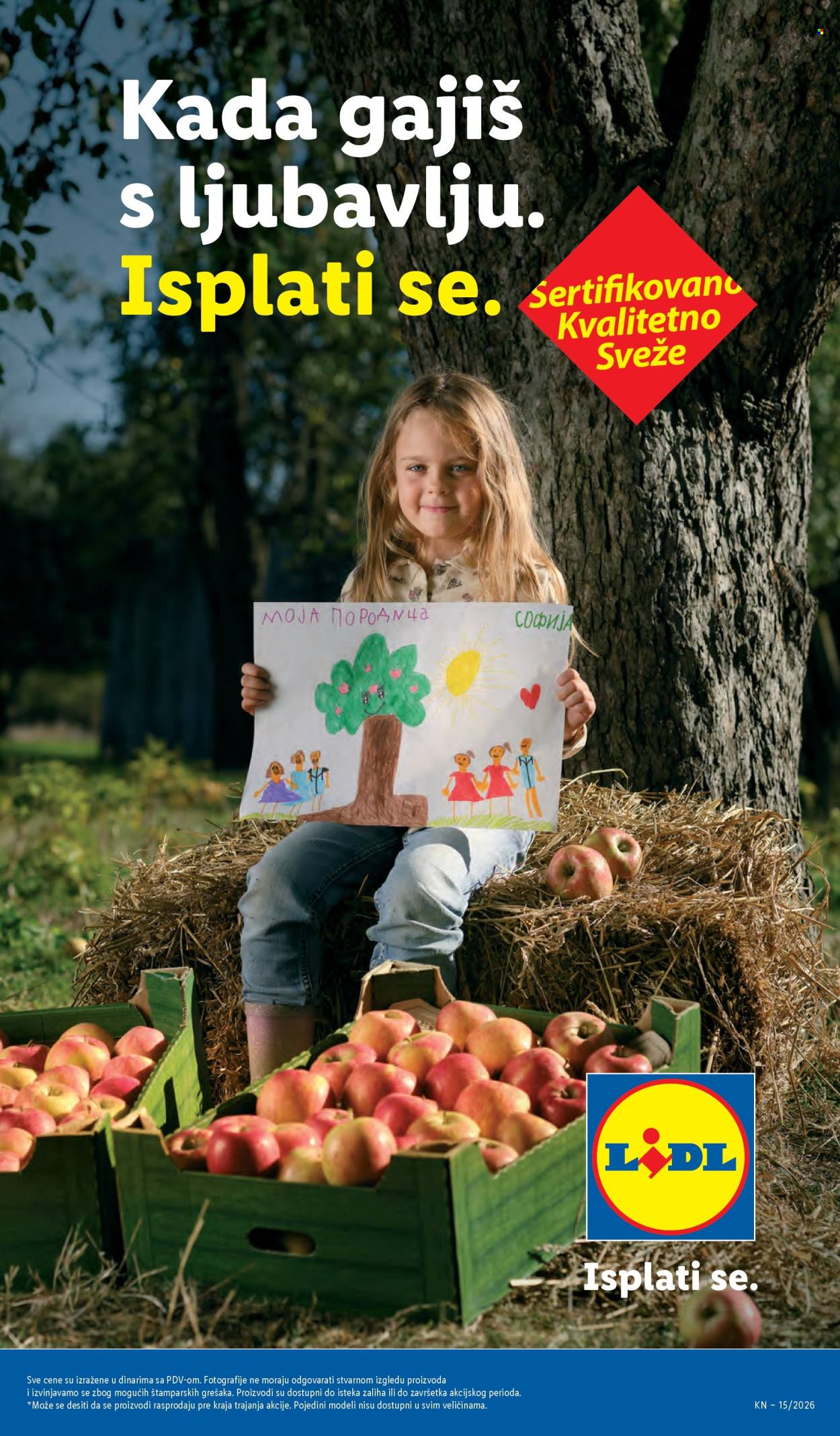 lidl - Lidl katalog - 09.04.-15.04.2026 - page: 17