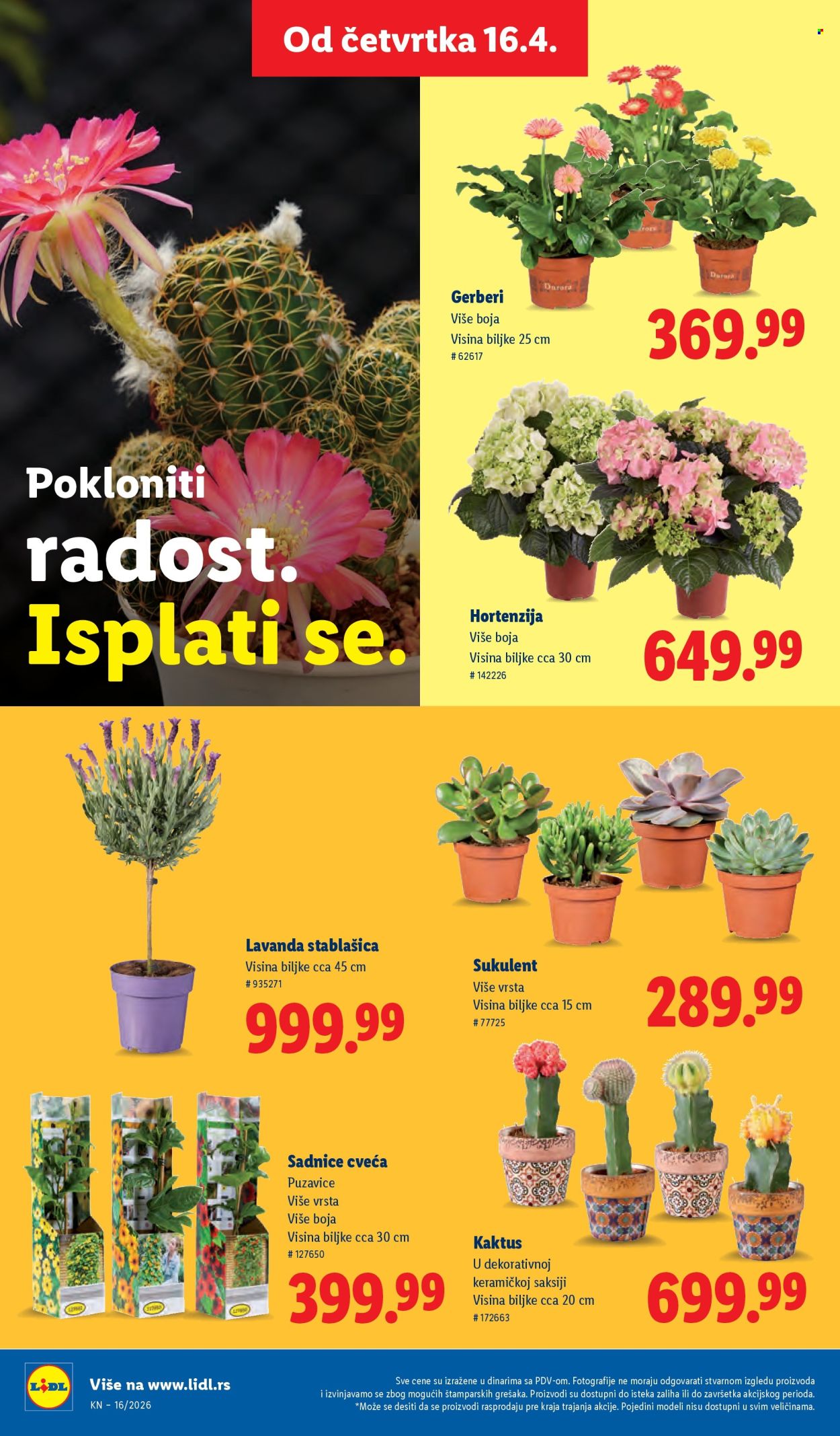 lidl - Lidl katalog - 16.04.-22.04.2026 - page: 62
