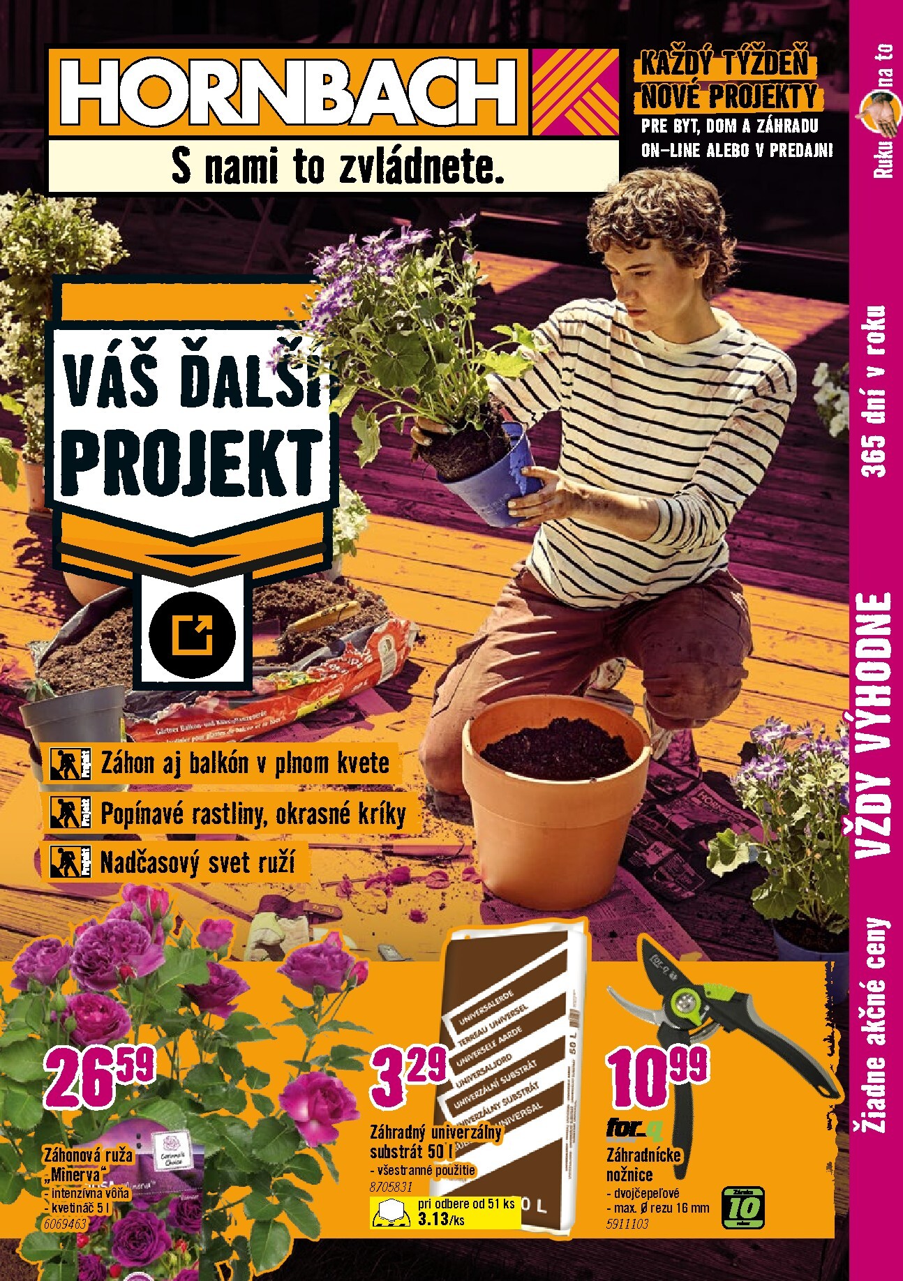 hornbach - Aktuálny HORNBACH - Záhony, popínavé rastliny, nadčasový svet ruží leták od stredy, 15.07.2026 do stredy, 29.07.2026