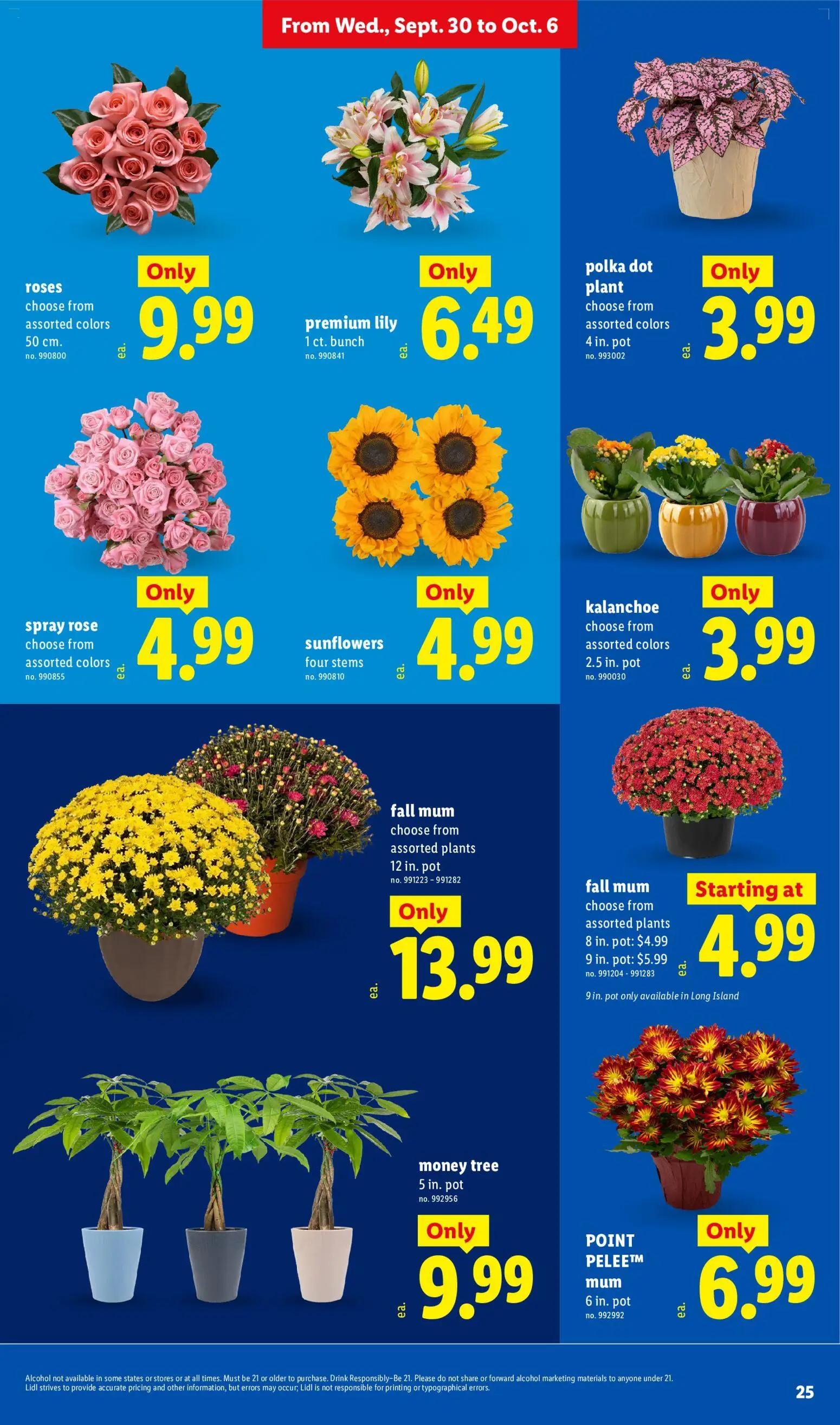 lidl - Lidl Weekly Ad - 09/30 - 10/06 2026 - page: 25