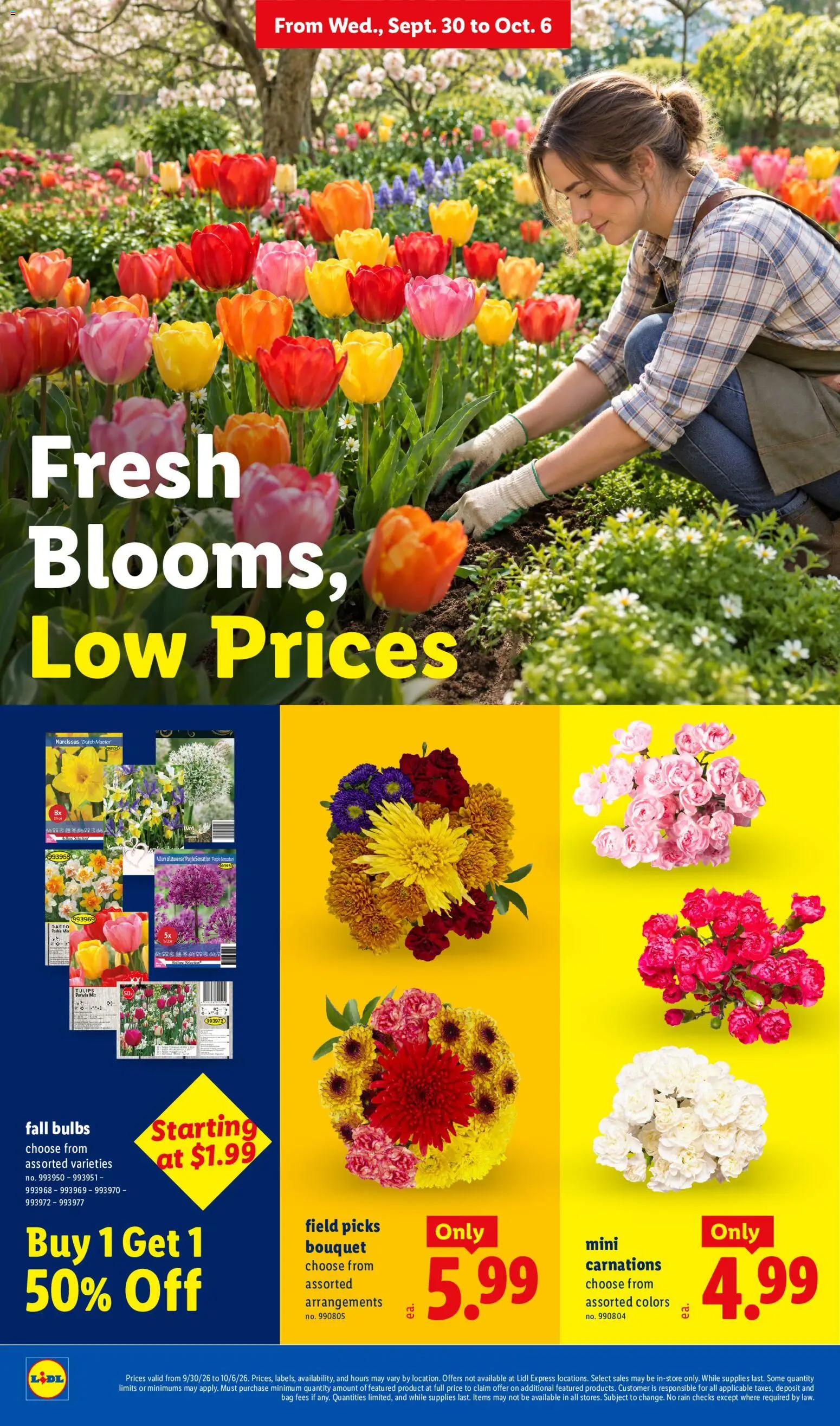 lidl - Lidl Weekly Ad - 09/30 - 10/06 2026 - page: 24