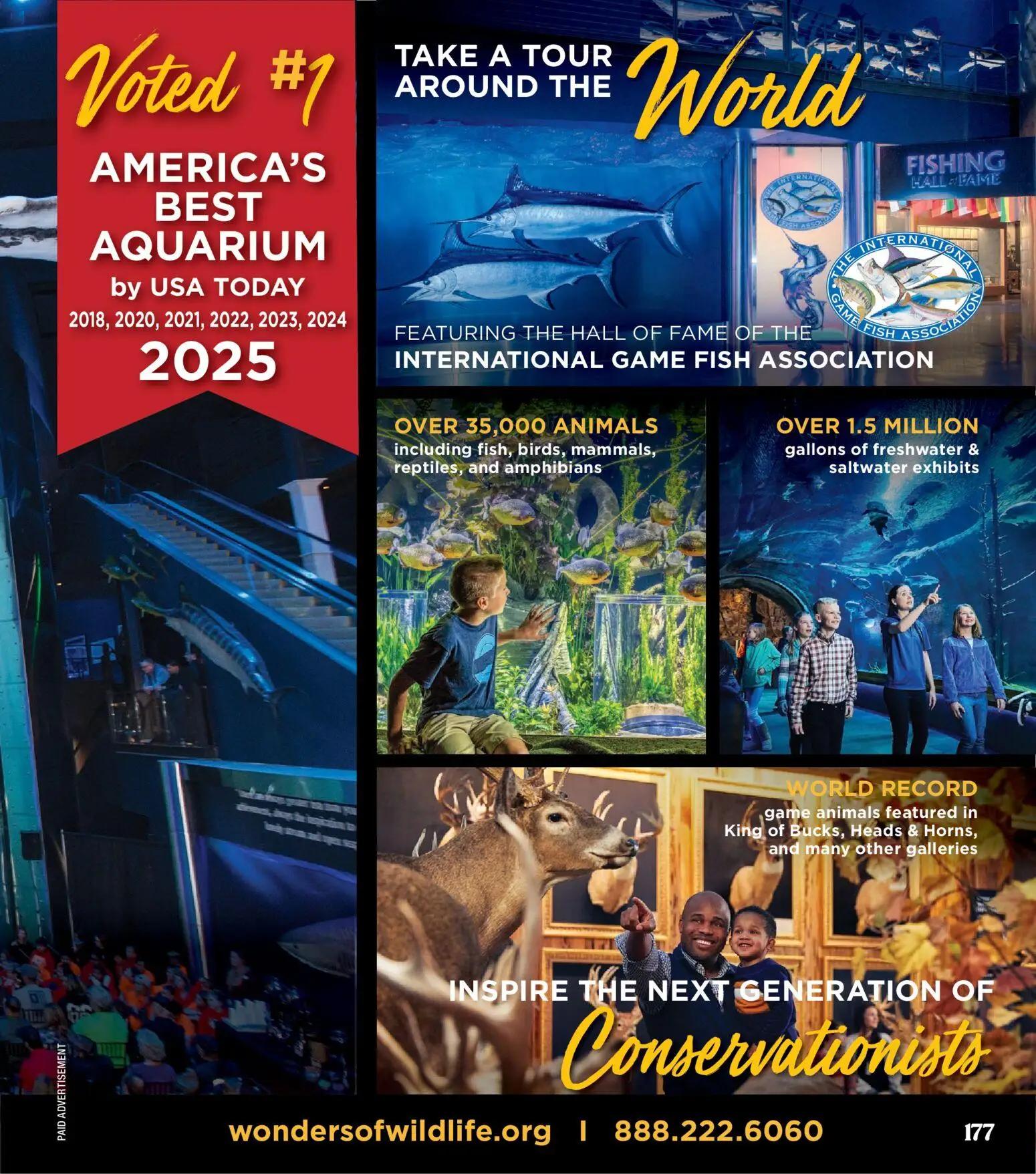 cabelas - Cabela's Christmas Gift Guide 25 - from Saturday 11/01 2025 - page: 177