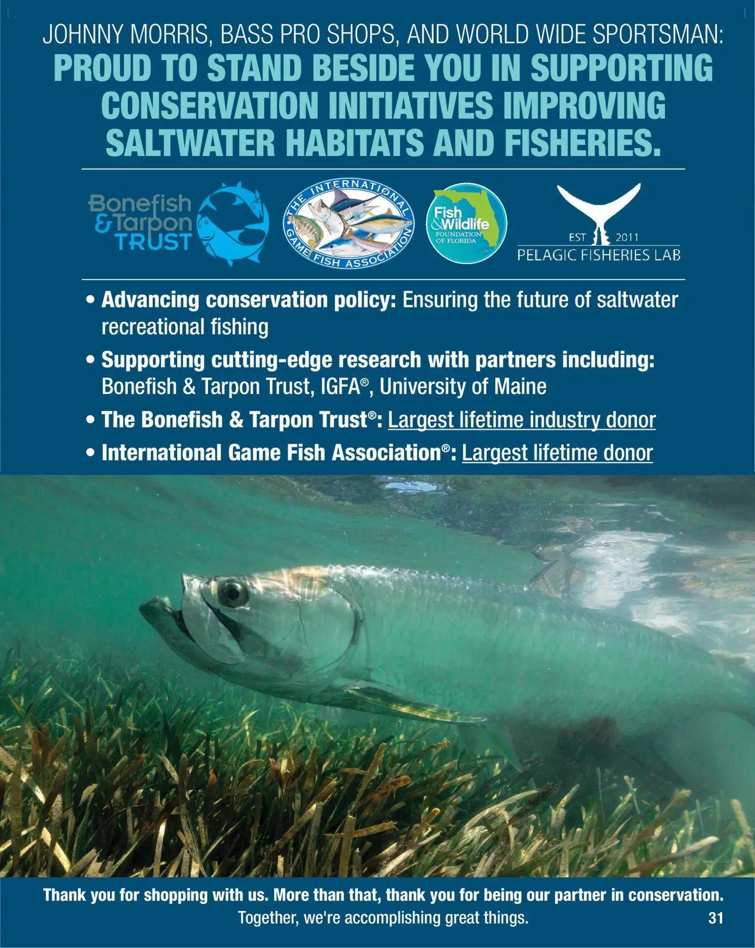 cabelas - Cabela's Saltwater Specialist 26 - from Monday 12/15 2025 - page: 31