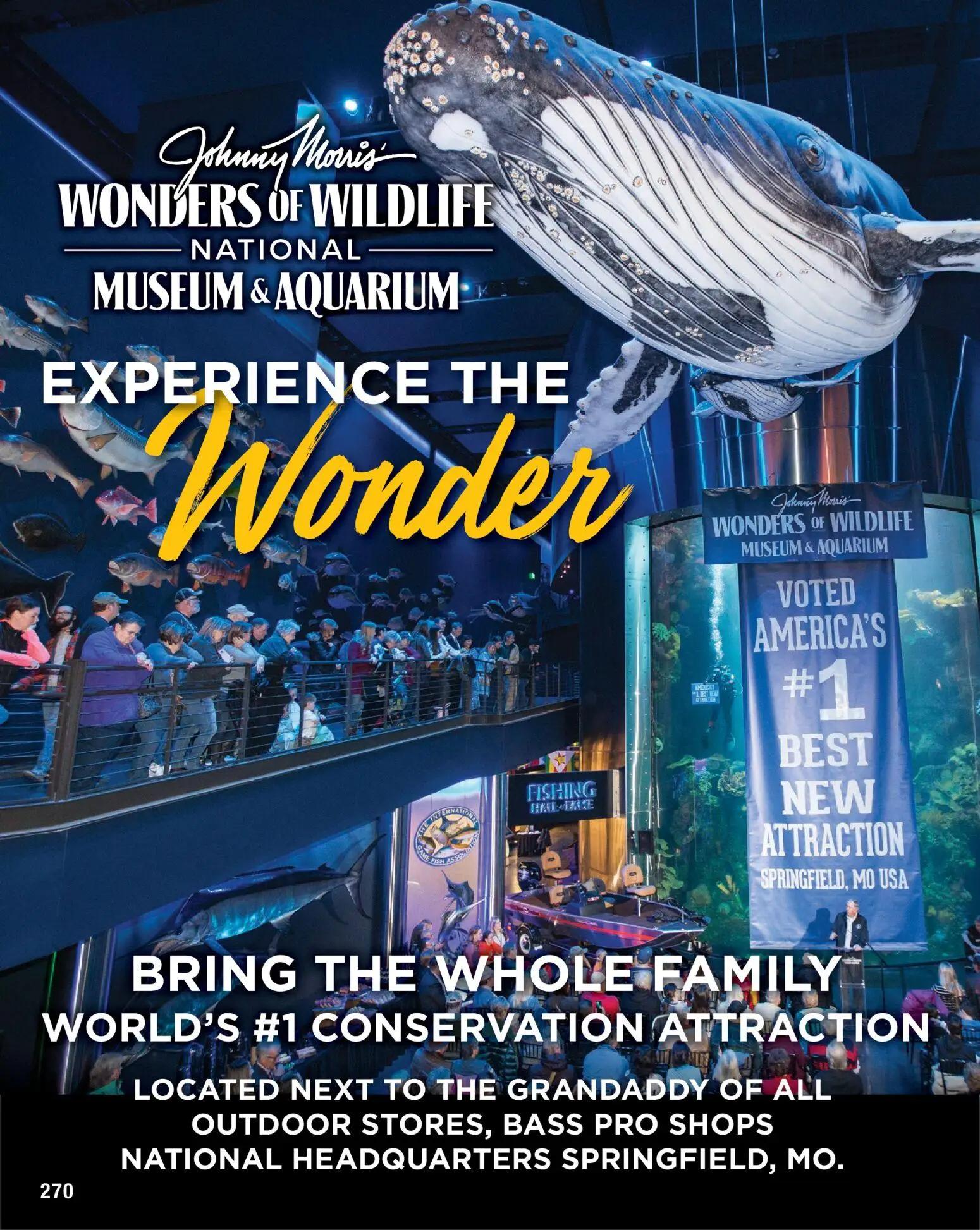 cabelas - Cabela's Saltwater Specialist 26 - from Monday 12/15 2025 - page: 270