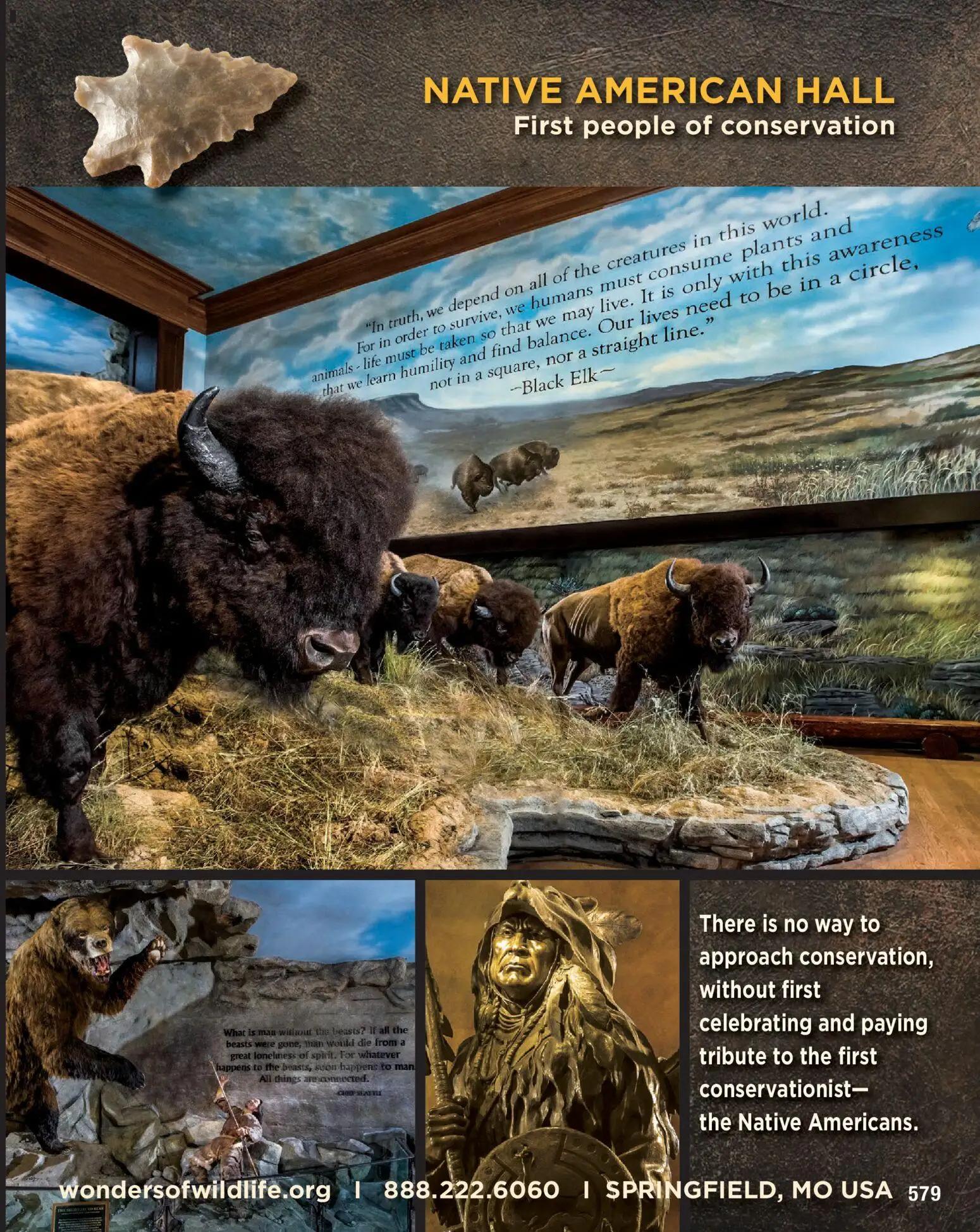 cabelas - Cabela's Spring Fishing Master 26 - from Thursday 01/22 2026 - page: 579